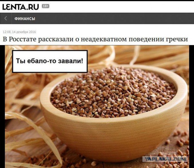 Весёлые картинки 16.12.2016.