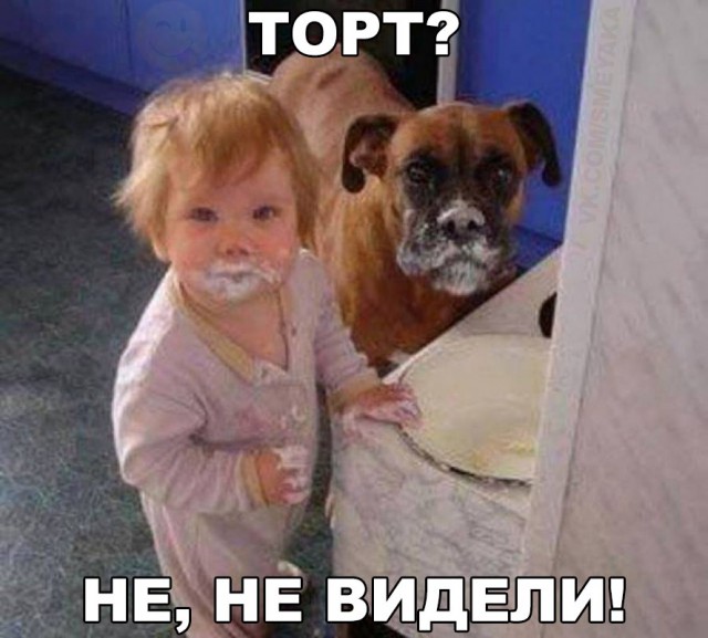 Подборка интересных и веселых фото