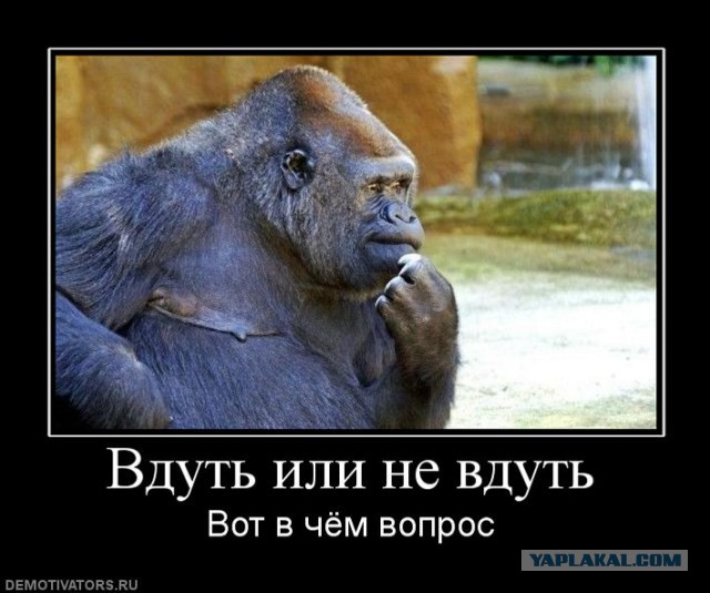 10 пар слов, которые никогда не перепутают грамотные люди