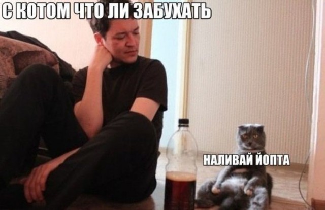 Бухаю один...