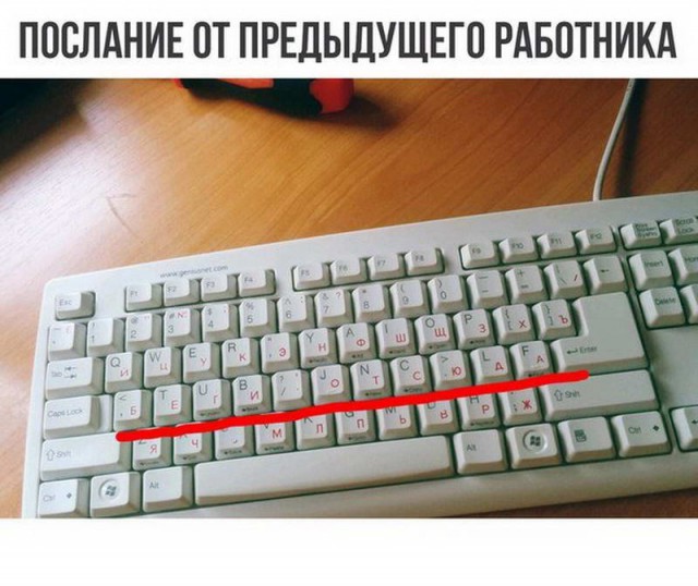 Подборка безудержного веселья