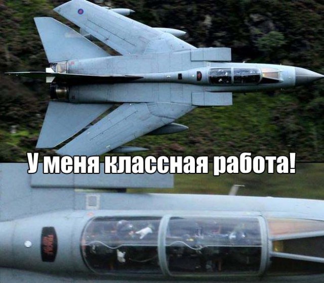 Подборка безудержного веселья