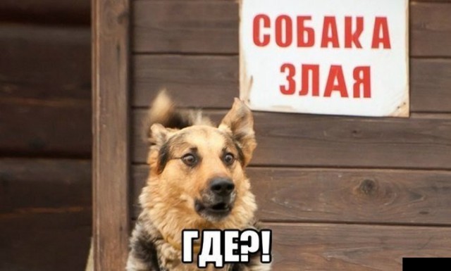 Журнал деградант