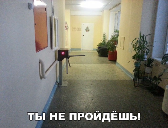 Приколы в картинках или прикольные картинки?