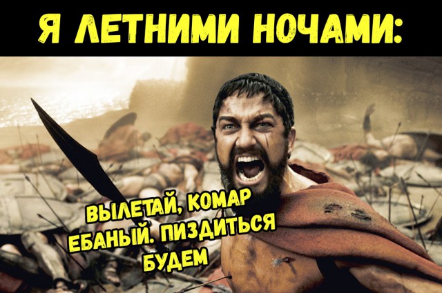 Много картинок в эту пятницу