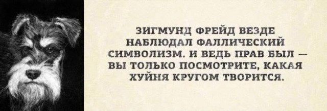 Немного картинок в эту среду