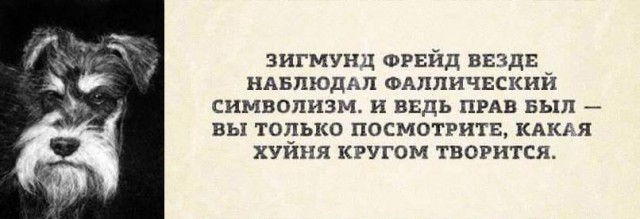 Немного картинок в эту среду