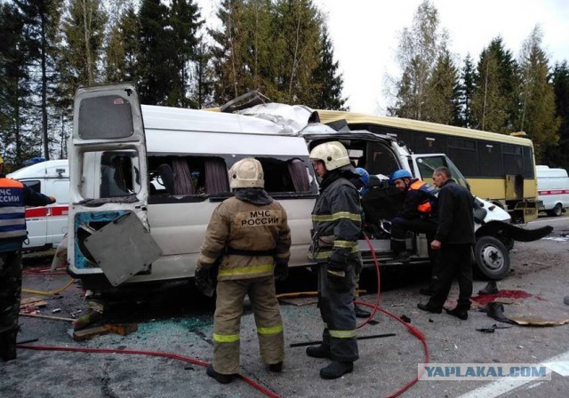 Семь человек погибли в результате ДТП в Тверской области