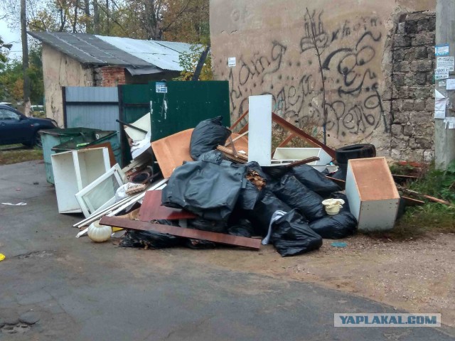 Ни денег, ни свободы. Экономист о вышедших из тени самозанятых