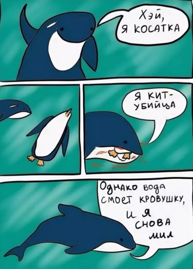Кушать подано! Или чутка о косатках