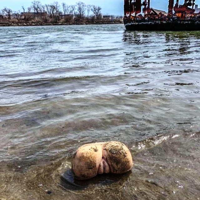 WTF: что тут происходит?