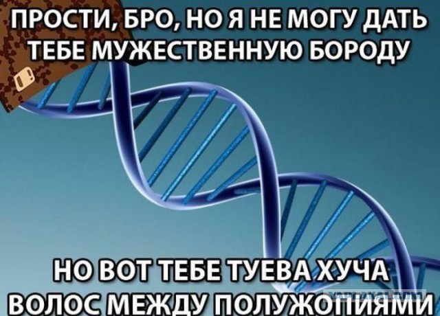 «Будешь старой 40-летней теткой с полупустыми яичниками»: представитель медиков осудила бездетных женщин