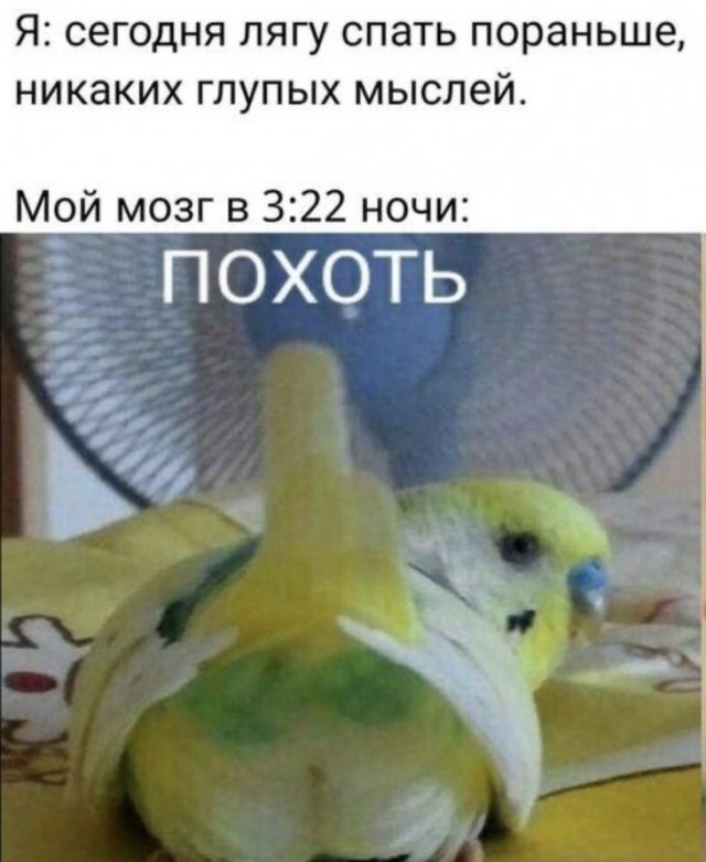 Немного картинок для настроения 18.01.20