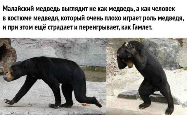 За 500 гитару не купишь и чем отличается девушка от женщины