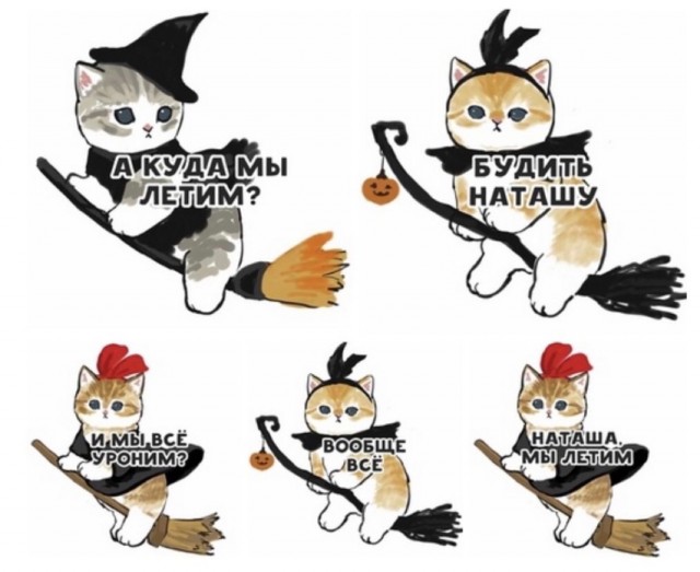 На утро котовтоника!