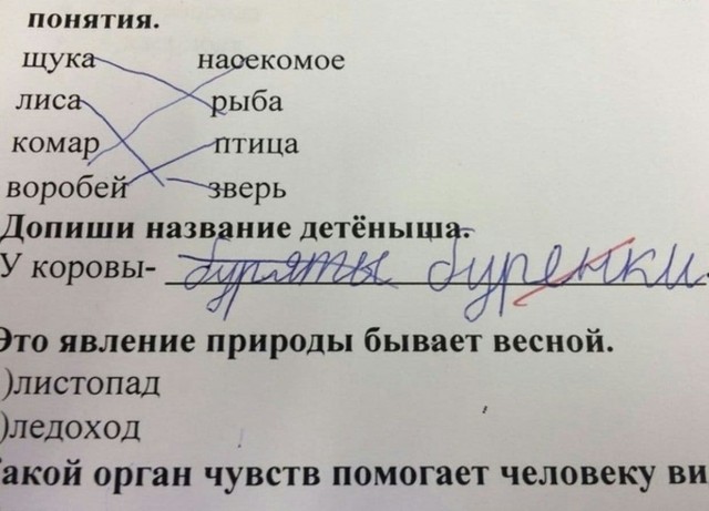 Прошлое, далёкое и не очень - 16
