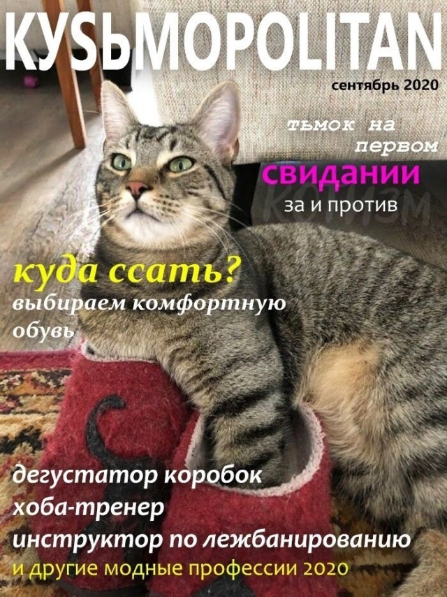 Картинки с надписями и всякие жизненные фразы 16.04.21