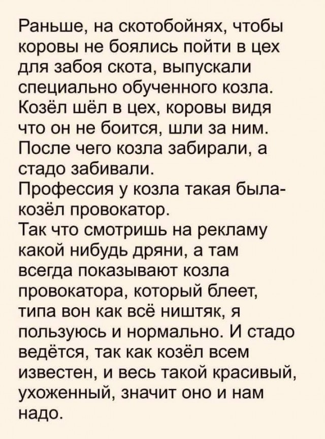 До меня дошло