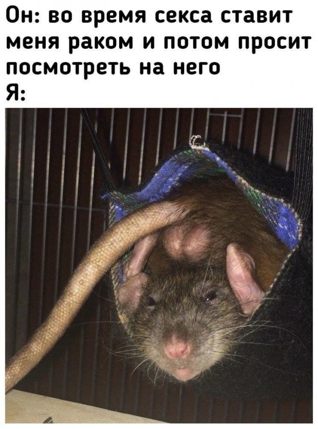 Мемасы (Пошлятина в основном)