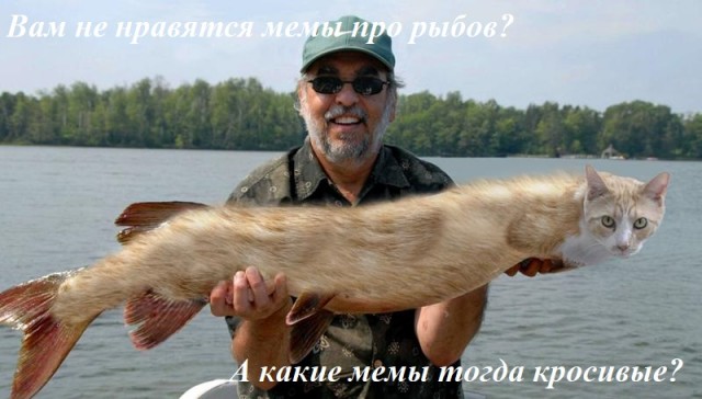 Разбираем новый мем "про рыбов"