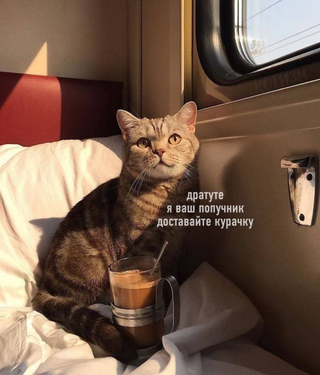Выборы-дебаты