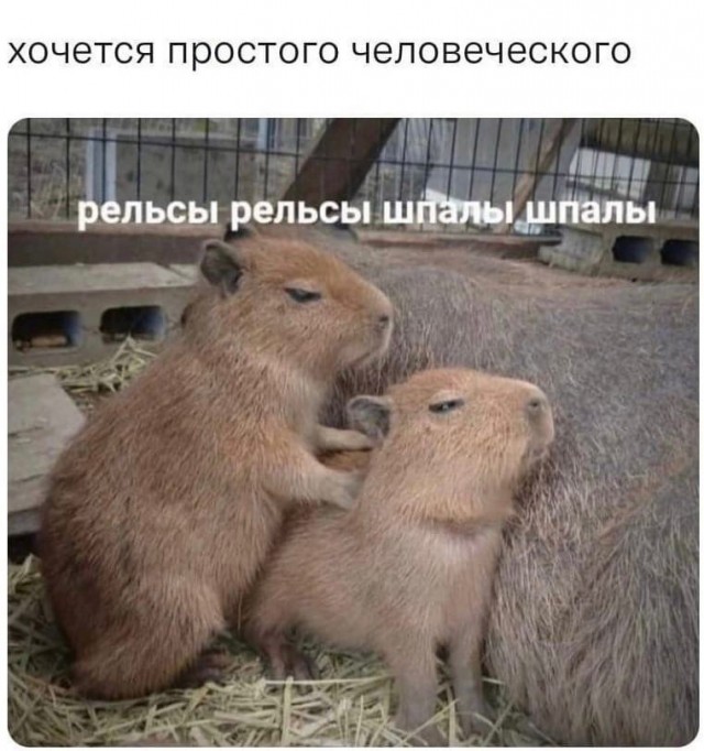 Так себе картинки 05.03.22
