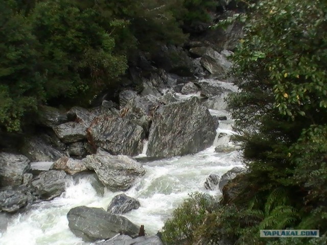 На машине по Новой Зеландии