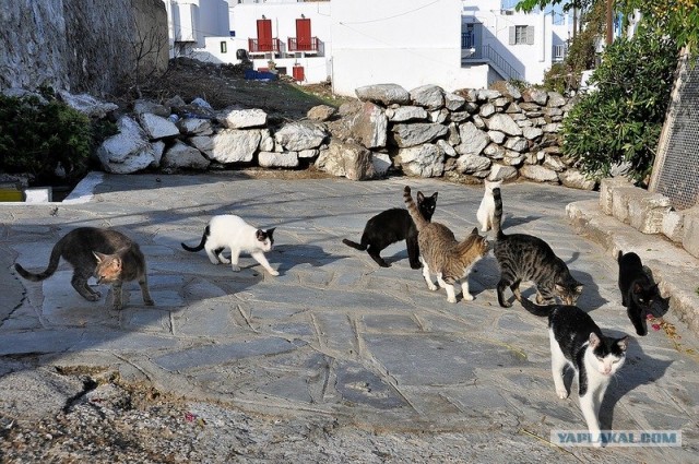 Любовь с первого взгляда