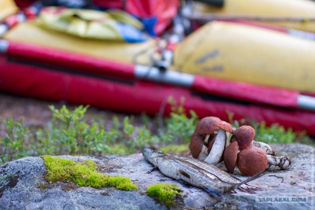 Водный поход по Карелии