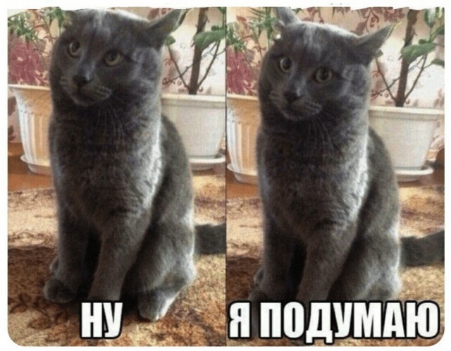 Победная поступь идиотизма по планете.