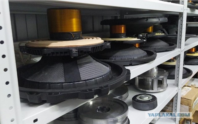 «Под дулом автомата попросили проехать в офис»: создатель автозвука Pride загремел под уголовку