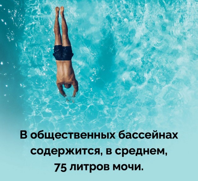 Немного бесполезных фактов