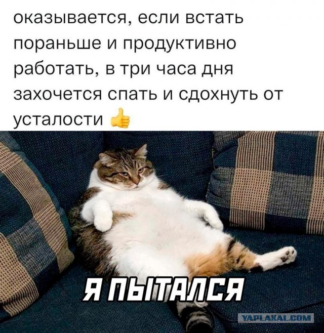 Это был тяжелый год
