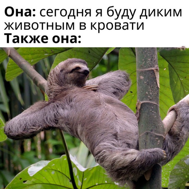Картинки и мемы, выходные продолжаются