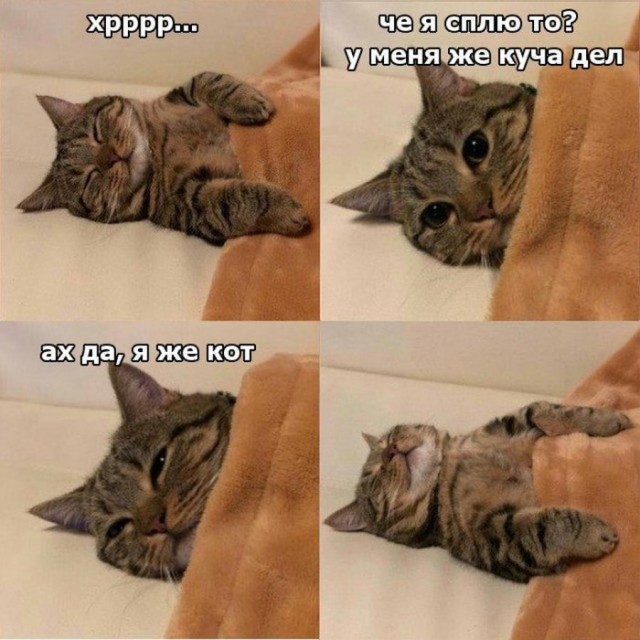 Налетай! Халявные бойаны!