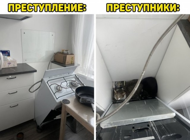 Картинки и мемы для настроения - 131