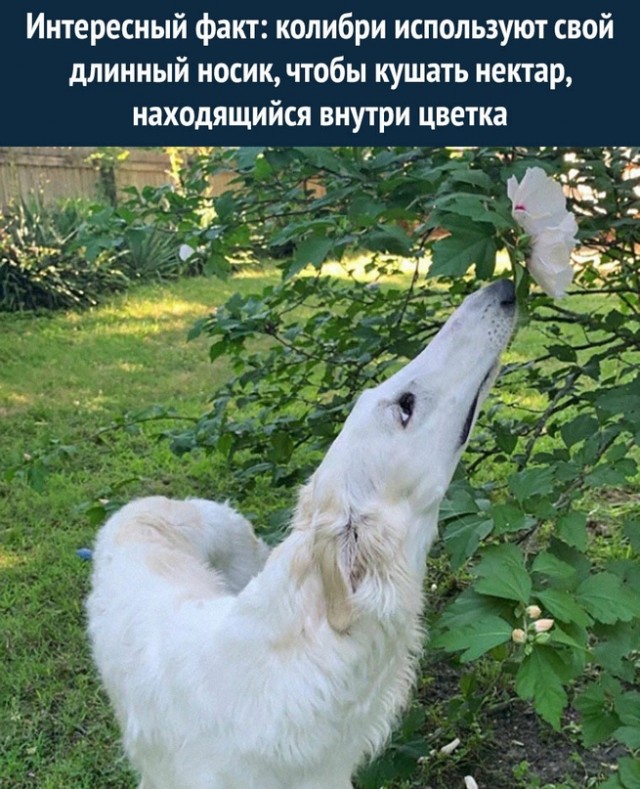 Картинки и мемы, всем хороших выходных