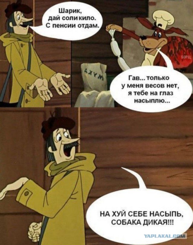 В Уфе мужчина так испугался лая маленькой собачки, что избил ее 16-летнего хозяина на глазах у своего сына