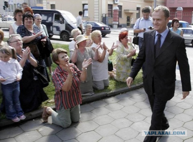 предложение Зеленскому