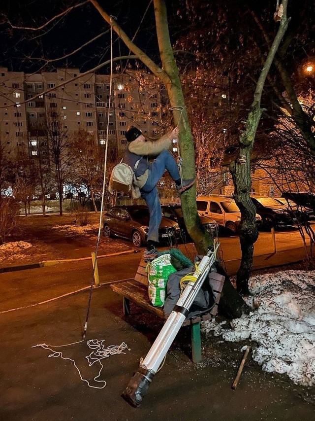 Жители Зеленограда организовали спецоперацию по спасению котёнка, который не мог слезть с дерева