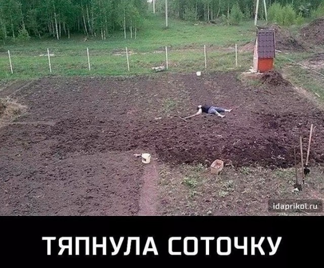 Так себе картинки 03.04.23