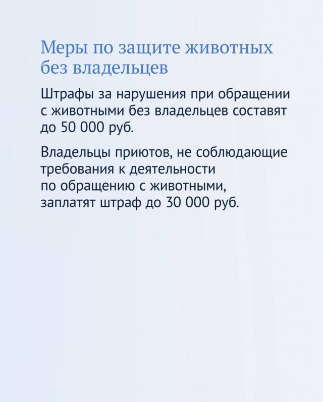 За жестокость к животным и избавление от питомцев могут установить крупные штрафы