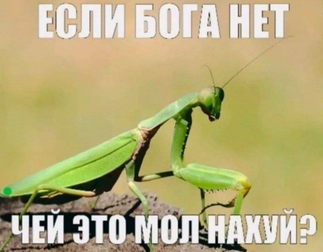 Всего понемногу. От 15.01.2024