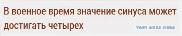 «Будем жить на картошке и хлебе?» Экономисты — о том, к чему приведет отвязка цен от мировых