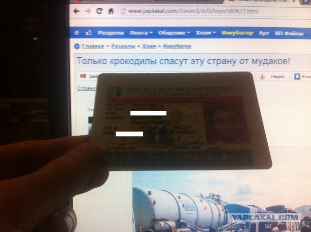 Только крокодилы спасут эту страну от мудаков!