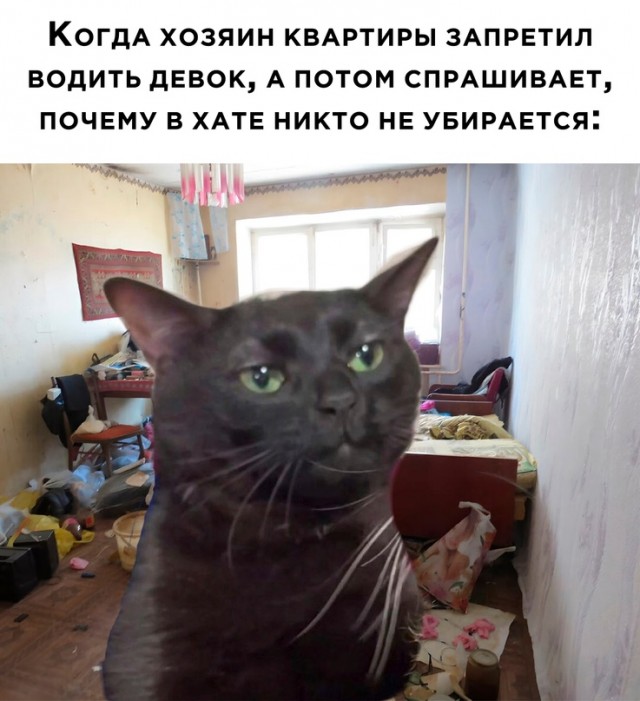 Весёлый полтишок 27.05.24
