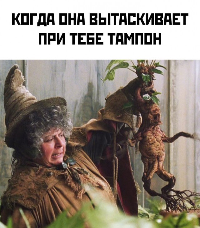 Весёлый полтишок 17.06.24