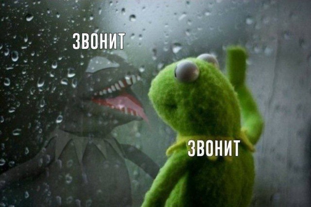 Всего понемногу. От 05.07.24
