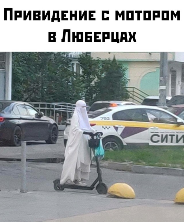 Весёлый полтишок 10.07.24