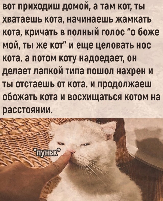Так себе картинки 26.08.24